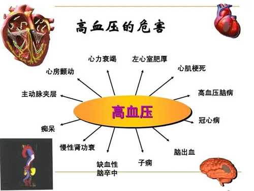 没症状不代表没伤害，高血压对身体的危害你知道多少？