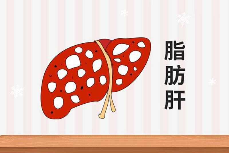 哪些药物可以治疗脂肪肝？