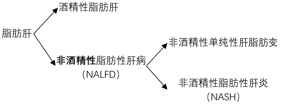 哪些药物可以治疗脂肪肝？