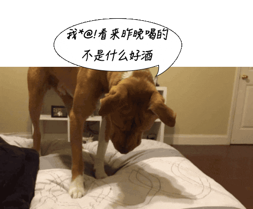男人肾不行，更容易得高血压！关注肾血管性高血压症