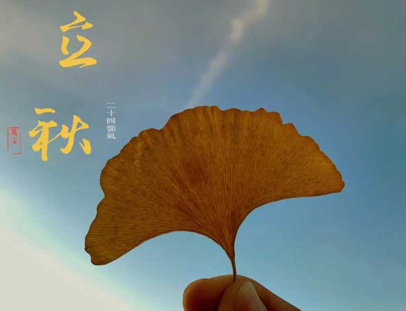节气养生丨今日立秋，养生保健要科学，养生误区要避免！
